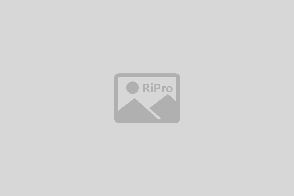 CSSIgniter Berliner WordPress Theme v2.1 音乐和娱乐主题下载