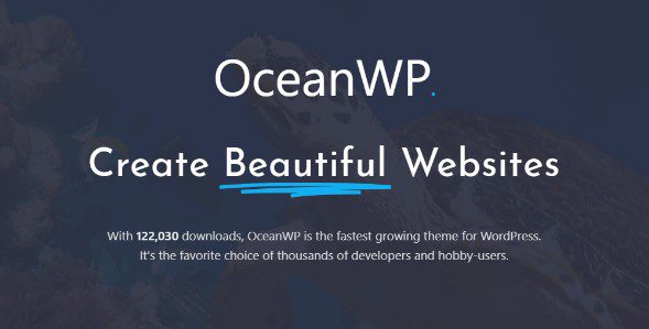 【精品】OceanWP Pro v4.2.1 (Ocean Extra v2.6.2 +所有拓展插件) 下载