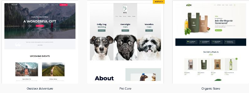 Astra Premium Starter Templates v4.7.8（Astra Premium Starter Templates） | Astra高级模板下载