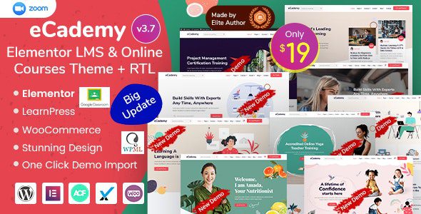 eCademy v.7.4 – Elementor LMS 和在线课程主题下载