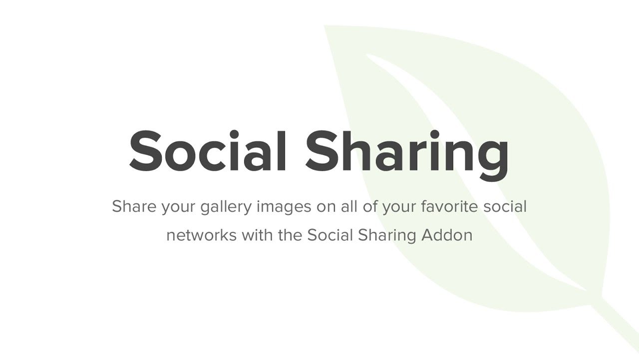 Envira Gallery Social Add-On v.1.6.6.1 | 图片分享插件下载