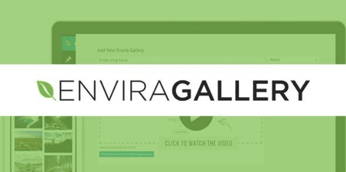 Envira Gallery: EXIF Addon v1.5.3 | WordPress画廊创建插件下载