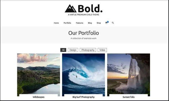 Kadence Virtue Bold Child Theme GPL v.1.0.2 主题下载