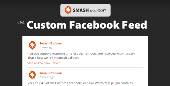 Custom Facebook Feed Pro v4.14.0 内容自动同步插件下载