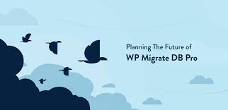 WP Migrate DB Pro v2.7.11 -package 网站开发复制数据库插件下载