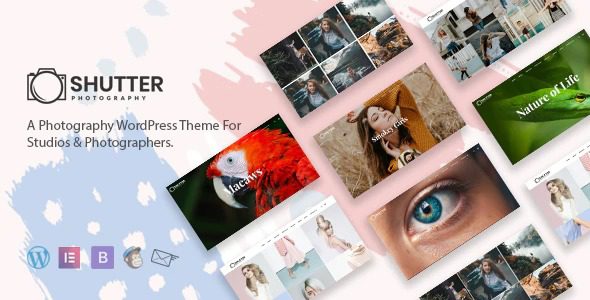 Shutter GPL v3.0.5  – 摄影 WordPress 主题下载