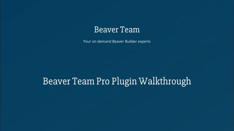 Beaver Team Pro for Beaver Builder Pro v.1.2.13下载