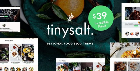 Tinysalt v3.0.0 个人美食博客WordPress主题下载