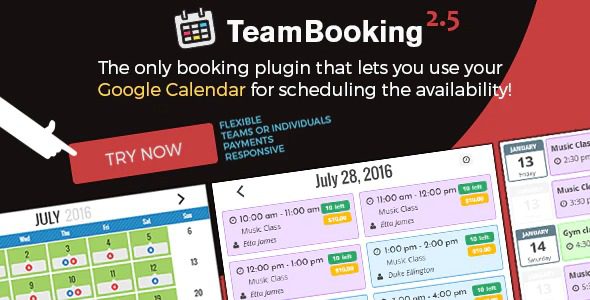 Team Booking v3.0.15 – WordPress预订系统插件下载