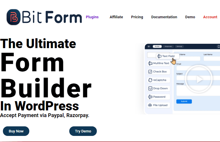Bit Form Pro v3.3.2 表格表单创建插件下载