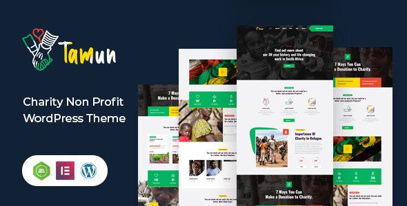 Tamun v1.6 – 筹款WordPress主题下载
