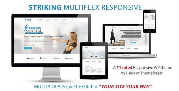 Striking v.2.2.0 – MultiFlex & Ecommerce响应式WP主题下载