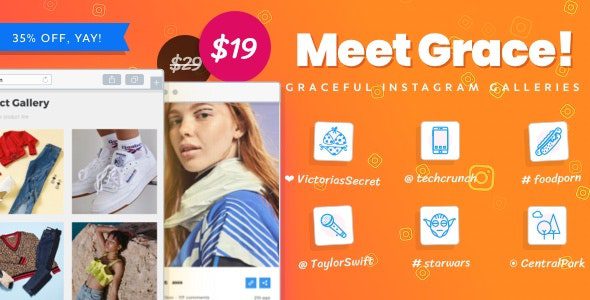 Grace for WordPress v1.2.8 – Instagram 内容同步进网站插件下载