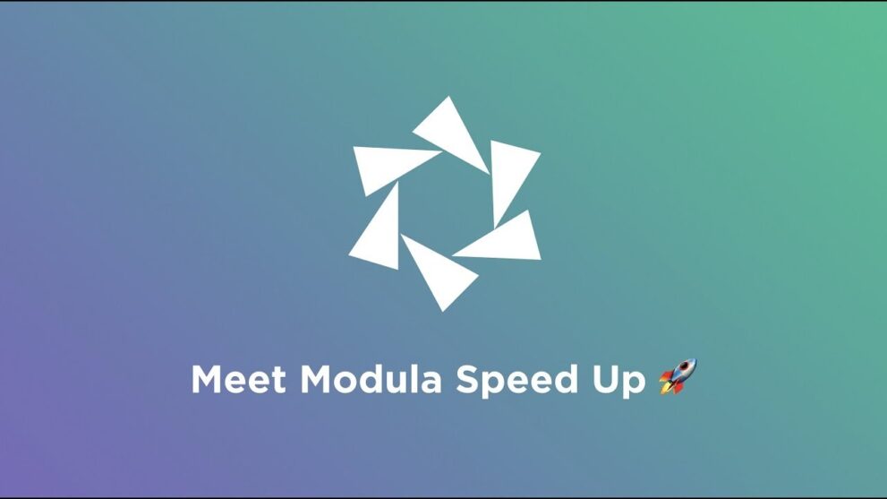 Modula Speed Up v.1.0.13 插件下载