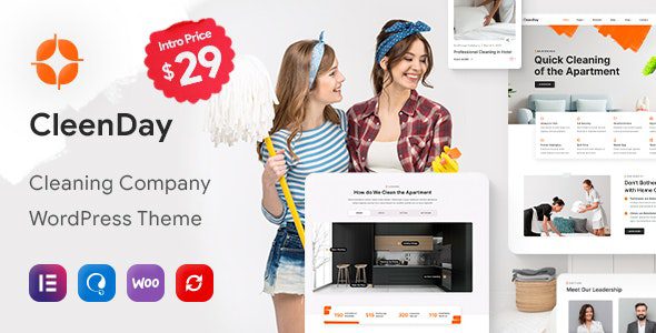 CleenDay v1.0.4 – 清洁公司WordPress主题下载
