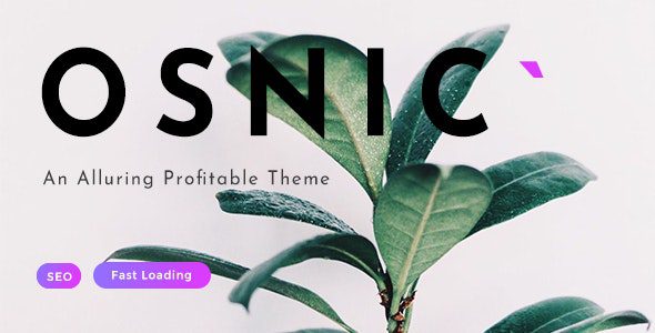 Osnic v.3.0.0 – Adsense WordPress 主题下载