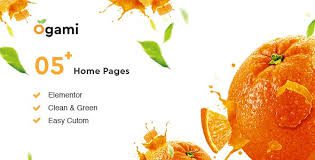 Ogami v.1.30 – 有机商店WordPress主题下载