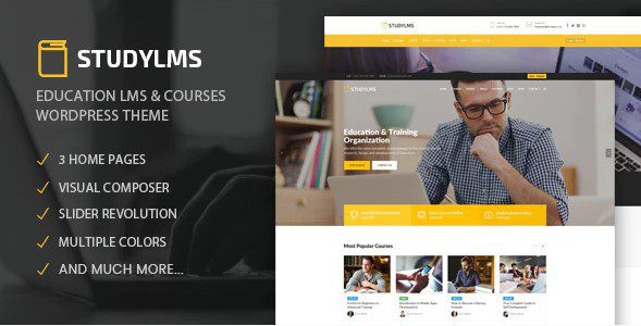 Studylms v1.25 – 教育 LMS 和课程 WordPress 主题下载