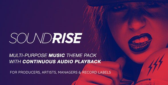 SoundRise v.1.6.0 – 艺术家、制作人和唱片公司 WordPress 主题下载