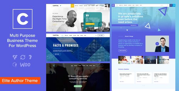 Capital v.2.9 – 多用途商业 WordPress 主题下载