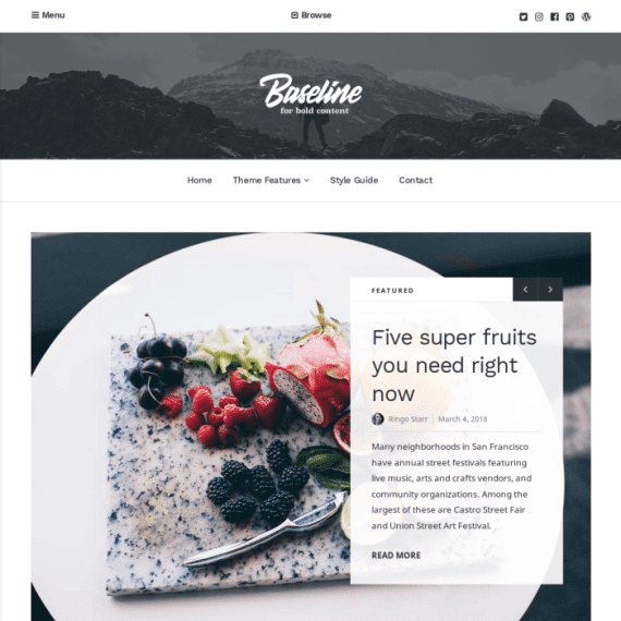 Array Themes Baseline WordPress Theme 1.2.9