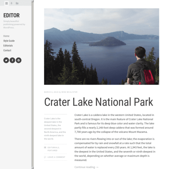 Array Themes Editor WordPress Theme 1.1.8