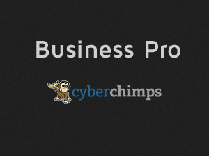 CyberChimps – Business Pro 4 4.3 主题下载