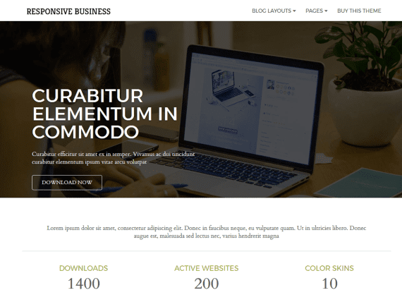 CyberChimps – Responsive Business 1.1