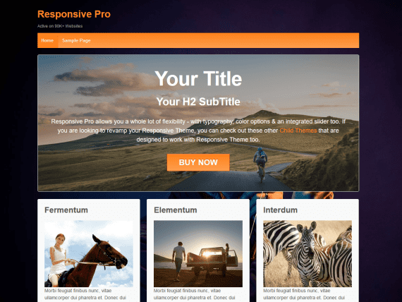 CyberChimps – Responsive Pro 2.17