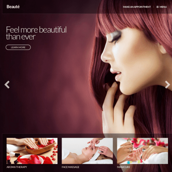 CSS Igniter Beaute Health & Beauty WordPress Theme 2.0.3