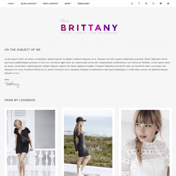 CSS Igniter Brittany blog WordPress Theme 2.1.1