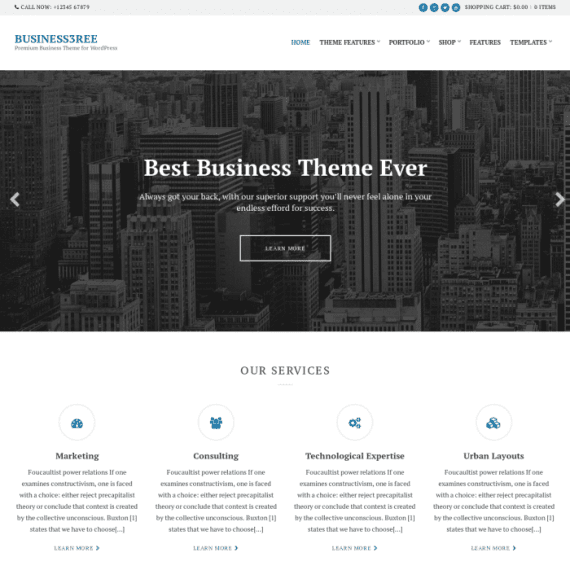 CSS Igniter Business3ree Business / Portfolio WordPress Theme 2.6.2
