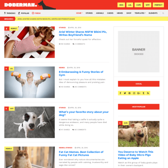 CSS Igniter Doberman Viral Magazine WordPress Theme 1.4.2 杂志主题下载