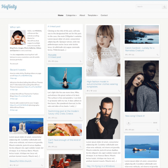 CSS Igniter Pinfinity WordPress Theme 3.1.1