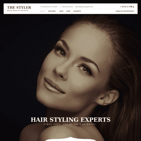 CSS Igniter The Styler Beauty WordPress Theme 1.4.3