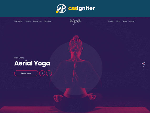 CSS Igniter Vigour Theme 1.4.4 健身主题下载