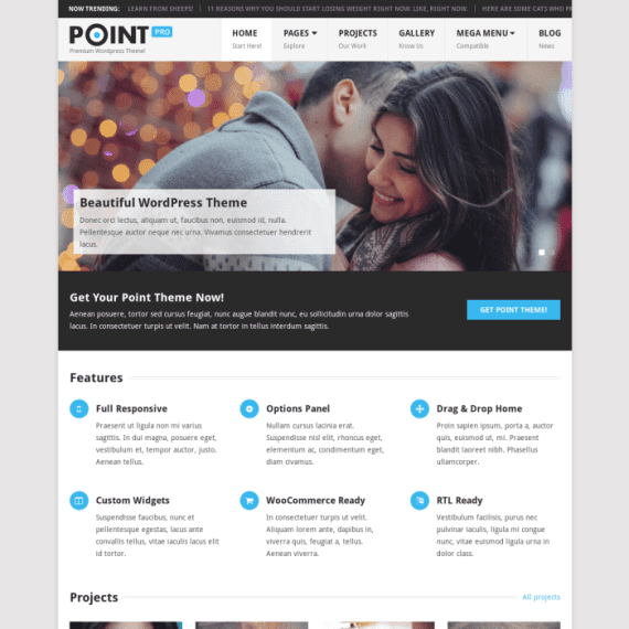MyThemeShop Point Pro WordPress Theme 2.2.6 主题下载