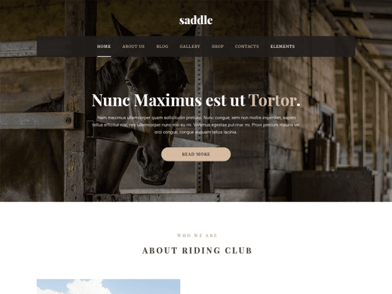 MyThemeShop Saddle WordPress Theme 1.0.10 主题下载