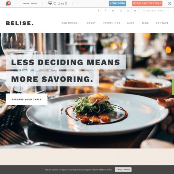 ThemeIsle Belise WordPress Theme 1.0.16 主题下载