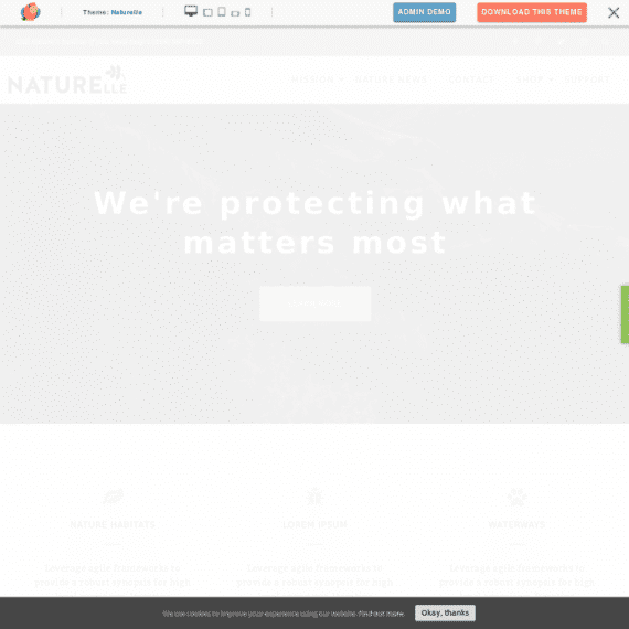 ThemeIsle Naturelle WordPress Theme 1.0.5