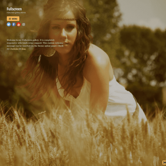 Themify Fullscreen WordPress Theme v7.5.7 主题下载