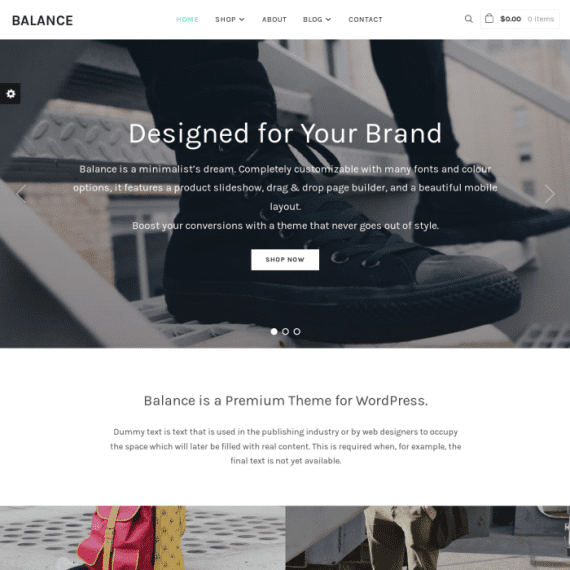 WPZoom Balance WordPress Theme 2.0.5