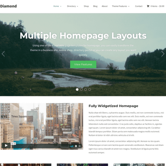 WPZoom Diamond WordPress Theme 1.1.16