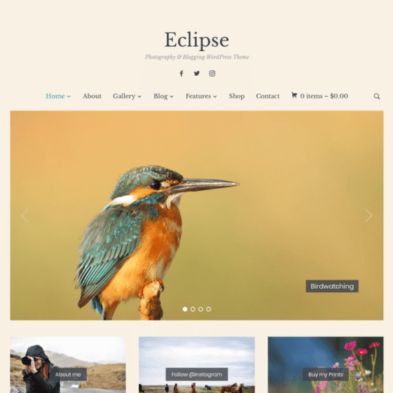 WPZoom Eclipse WordPress Theme 1.0.10