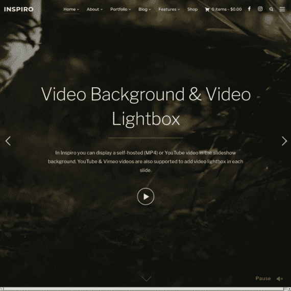 WPZoom Inspiro Premium v1.9.0 WordPress 的 Elementor设计主题下载