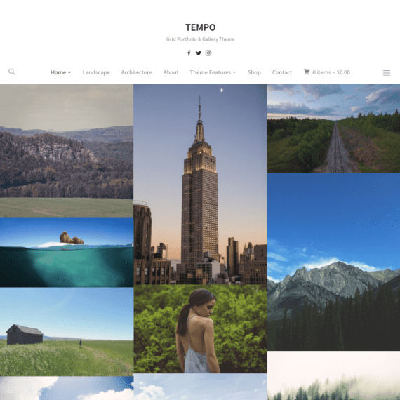 WPZoom Tempo WordPress Theme 1.0.12