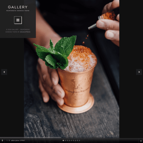 ZigZagPress Gallery Genesis Child WordPress Theme 1.6.0