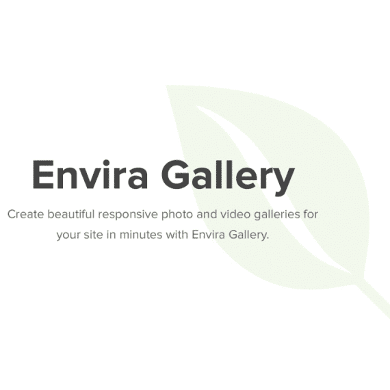 Envira Gallery Pro 1.17.2 核心插件下载