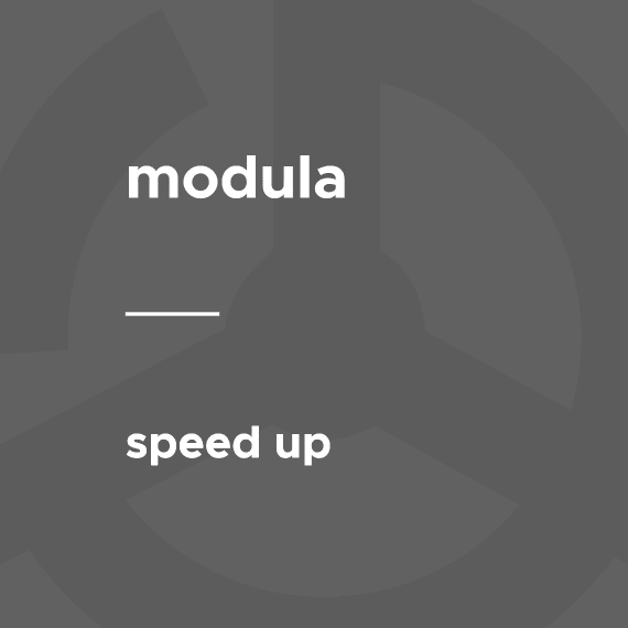 Modula – SpeedUp 1.0.13 插件下载