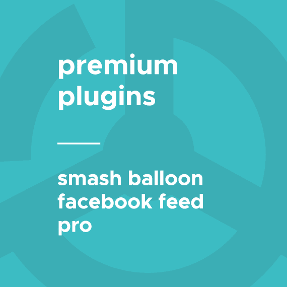 SmashBallon – Custom Facebook Feeds Pro 4.2.2